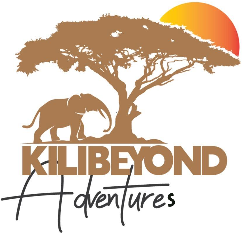 Kili Beyond Adventures