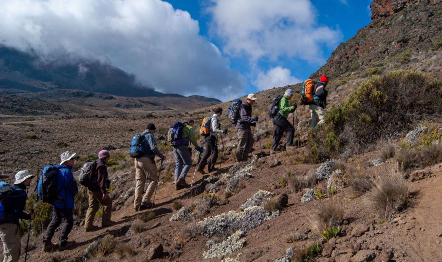 Conquering Mount Kilimanjaro